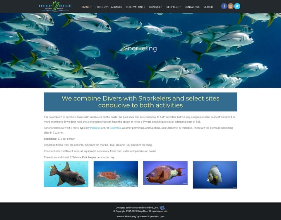 The snorkeling page of the old website - Deepblue Cozumel