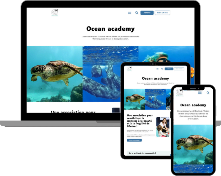 mockup site ocean academy