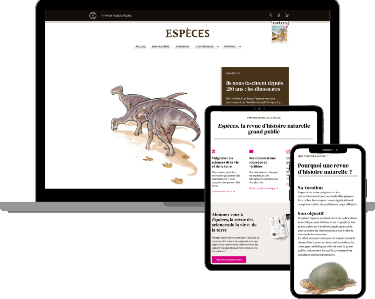 mockup site web especes