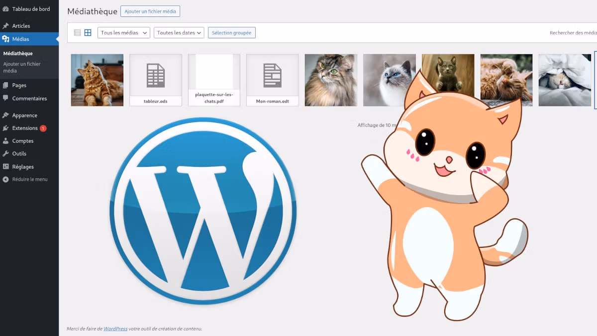 Aperçu de la ma médiathèque WordPress, avec le logo WordPress et une illustration de chat mignon an avant-plan.